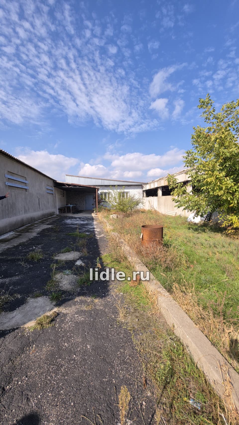Фото объявления 2