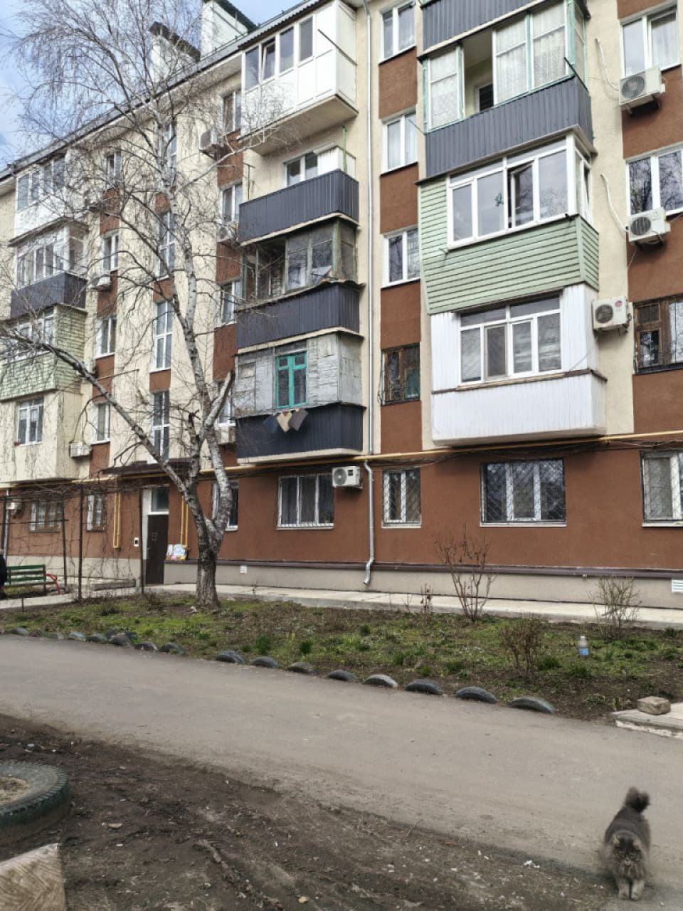Фото объявления 5